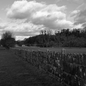 Praries et clôture en plaques de béton en noir et blanc - Belgique  - collection de photos clin d'oeil, catégorie paysages